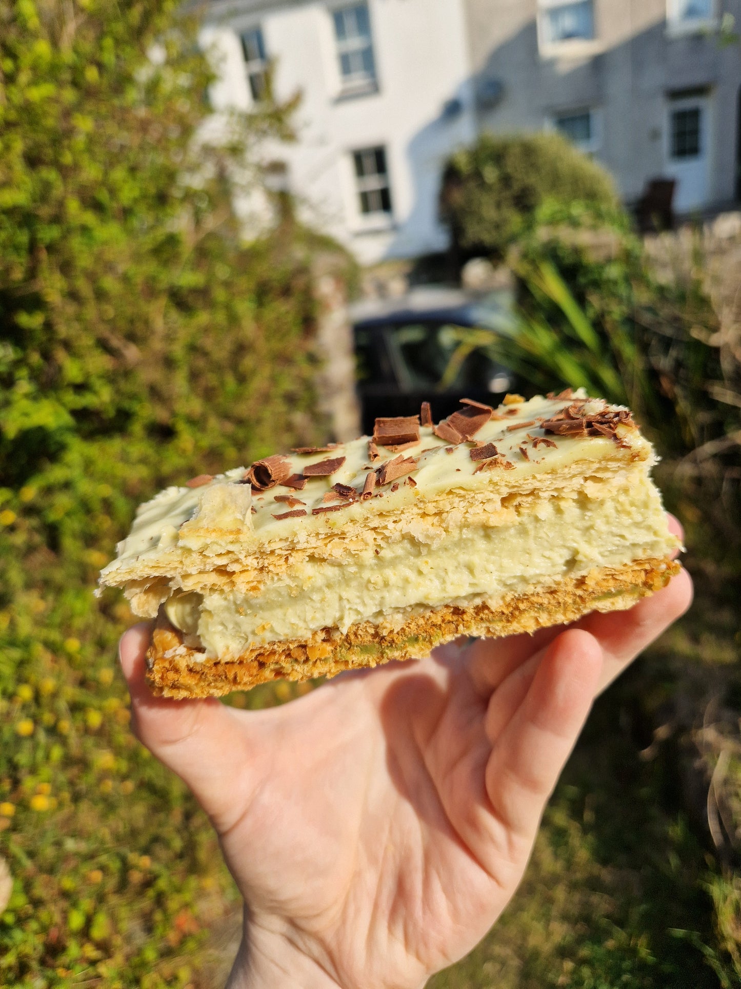 Pistachio slice