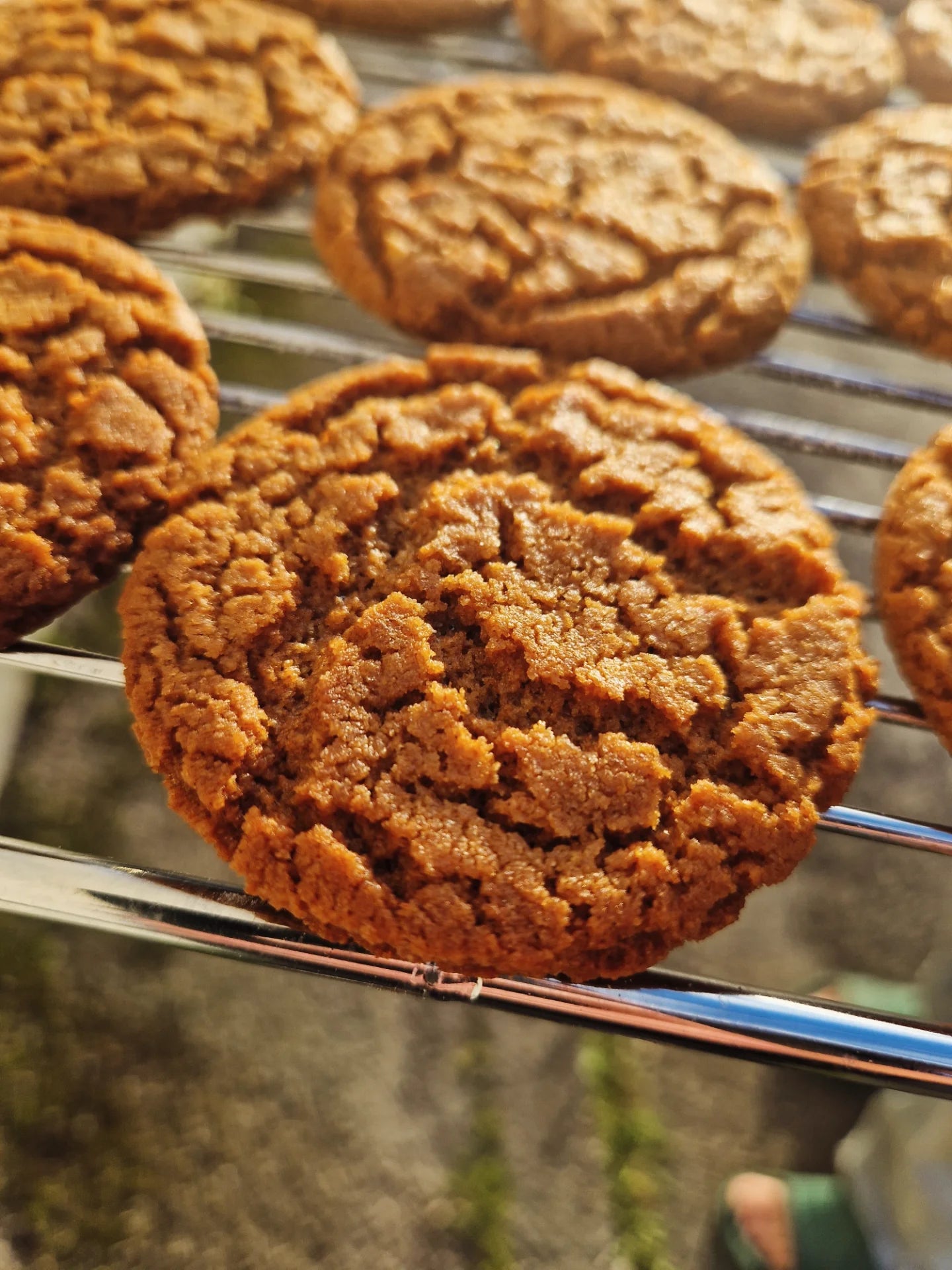 Cornish Fairings 6 pack