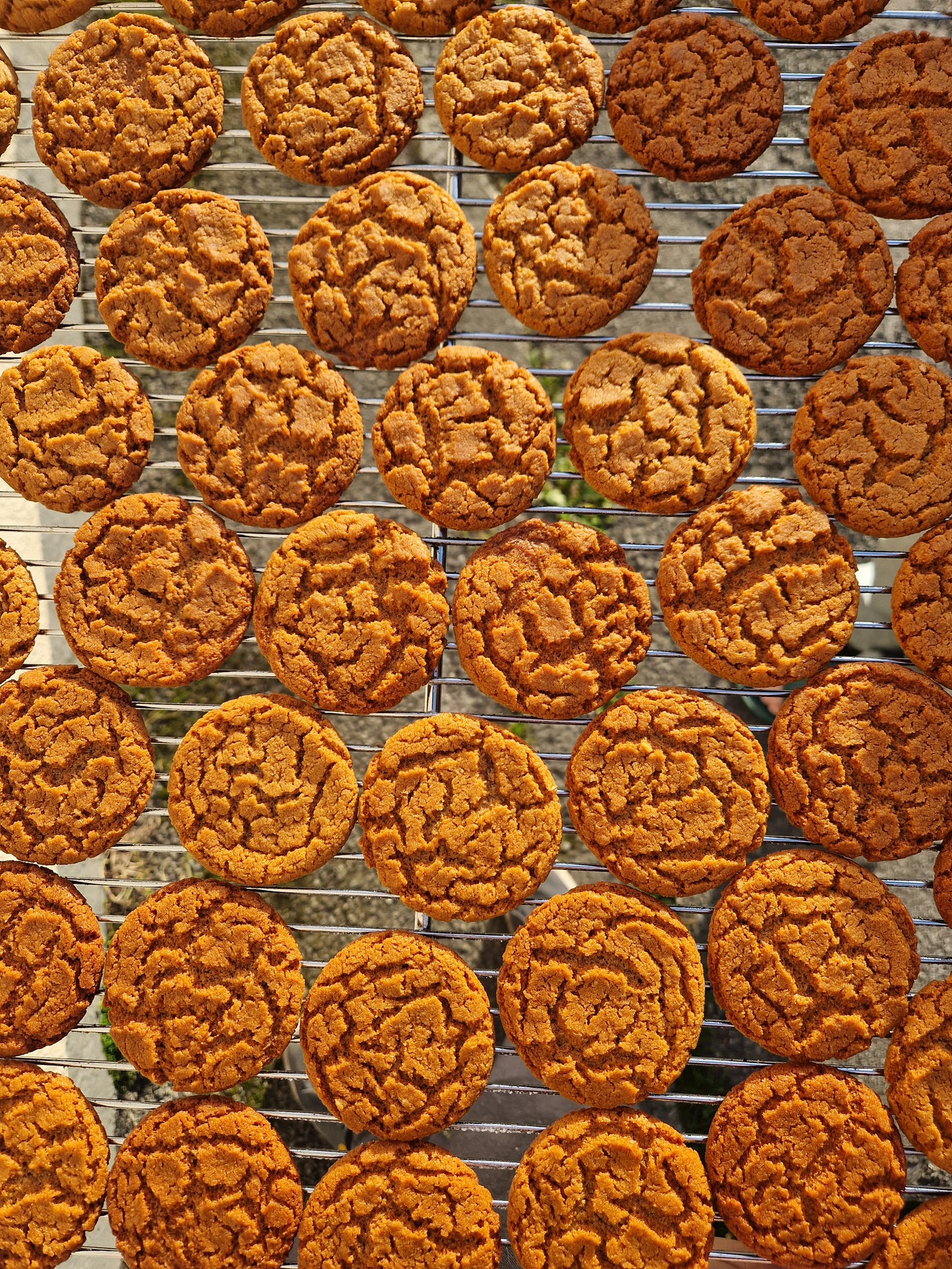 Cornish Fairings 6 pack