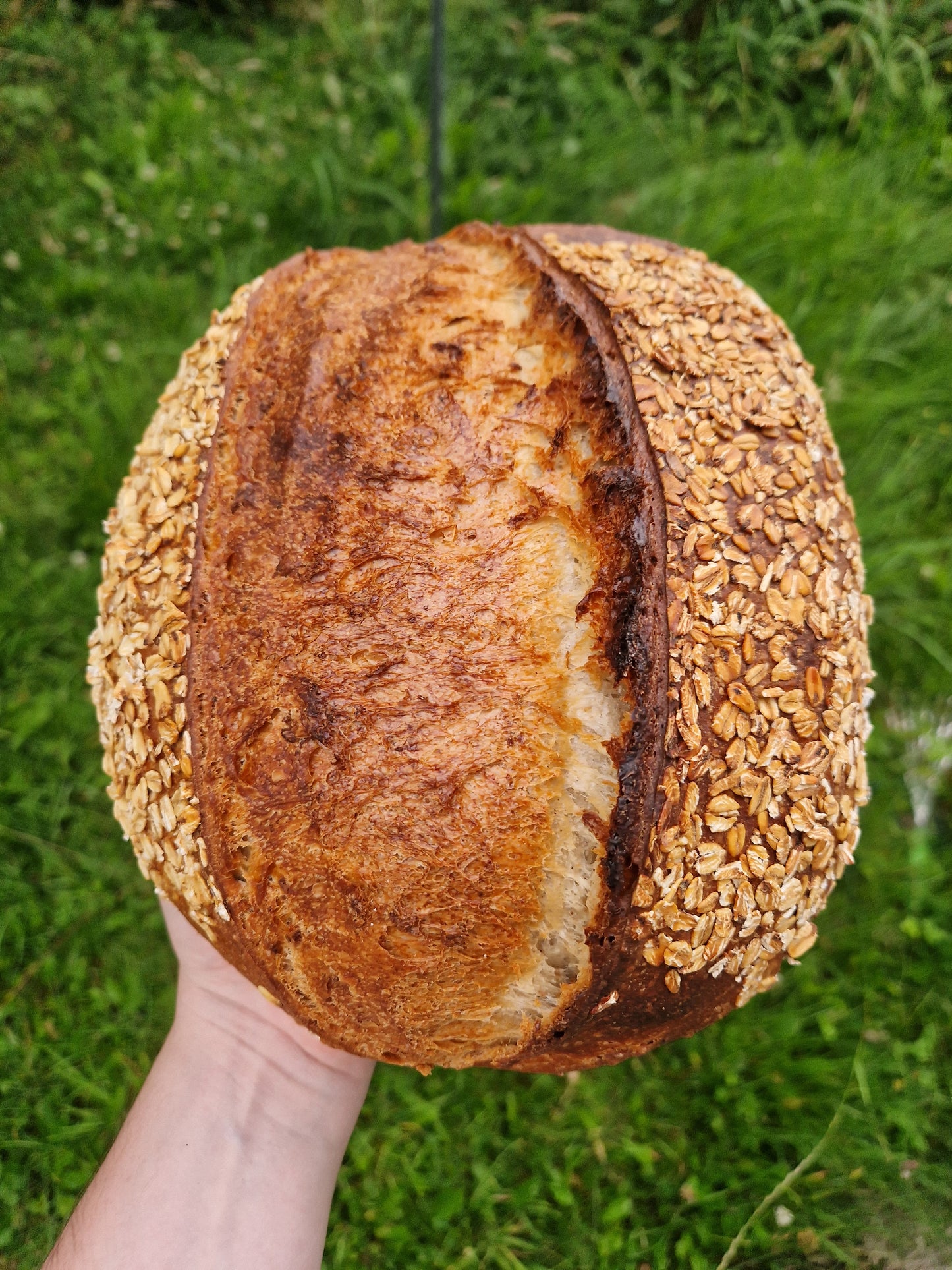 Honey & Oat Sourdough