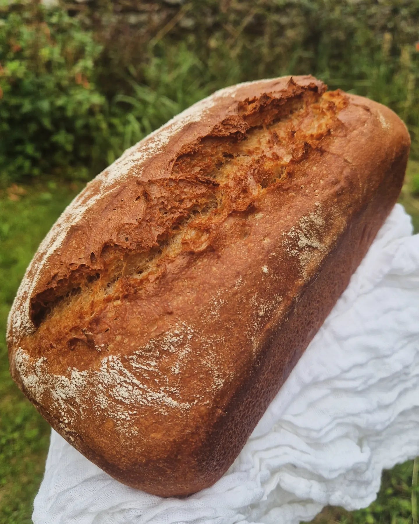 Cornish Comfort Loaf (Marmite) - Tywardreath Bakery