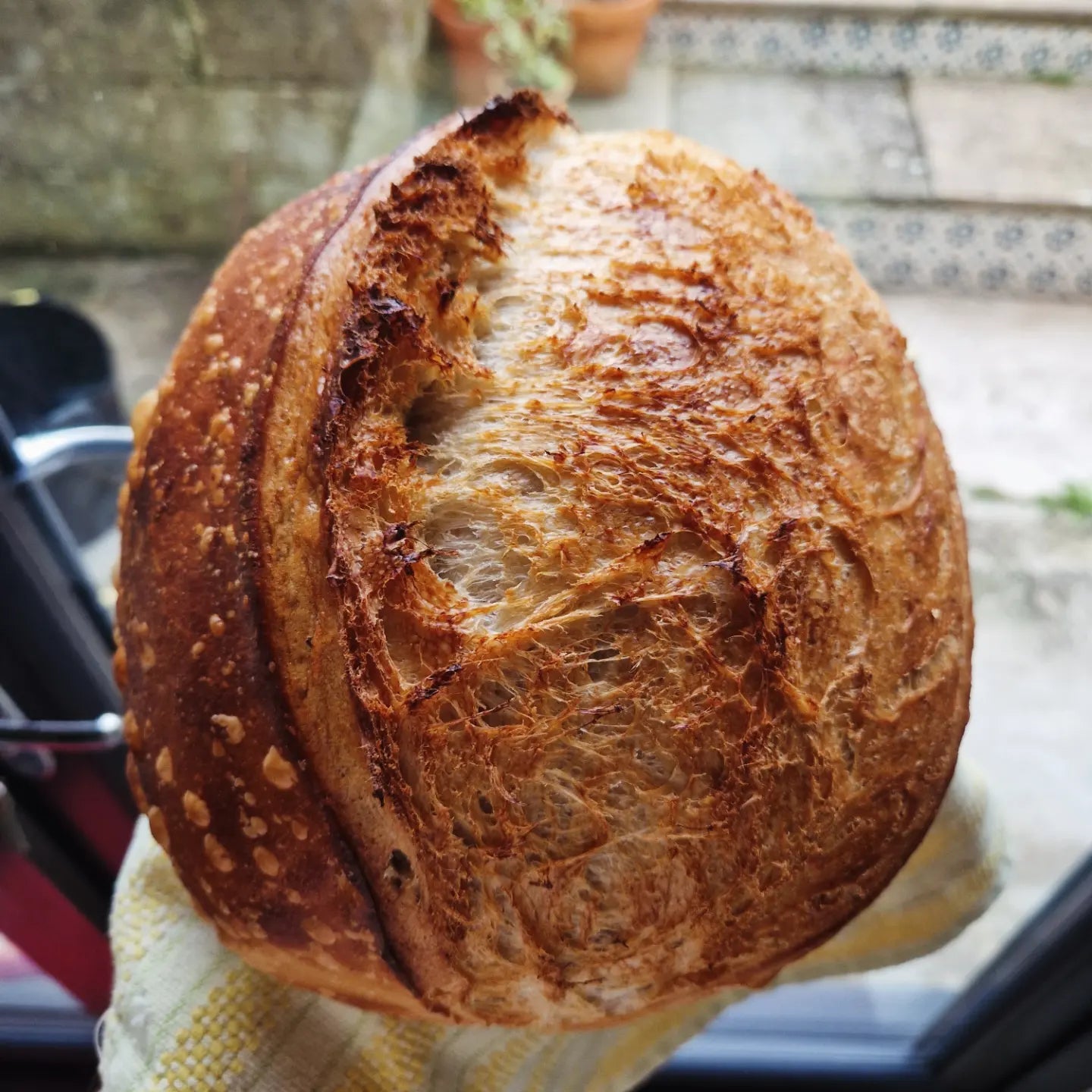 Classic Sourdough Loaf - Tywardreath Bakery