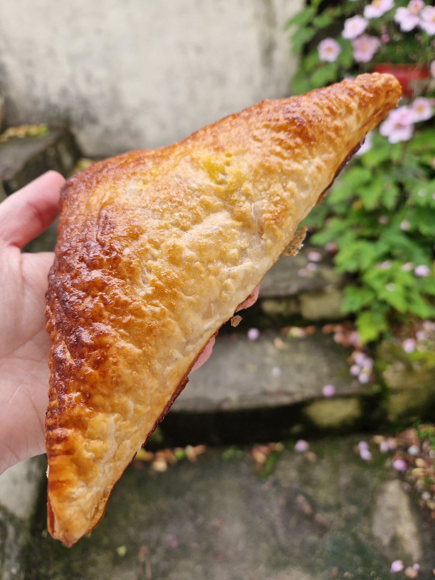 Apple turnovers