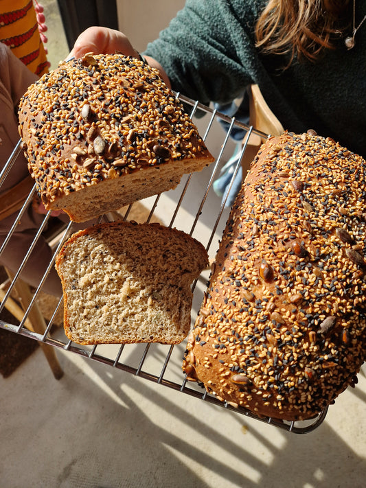 Full size Seedy Strand Loaf