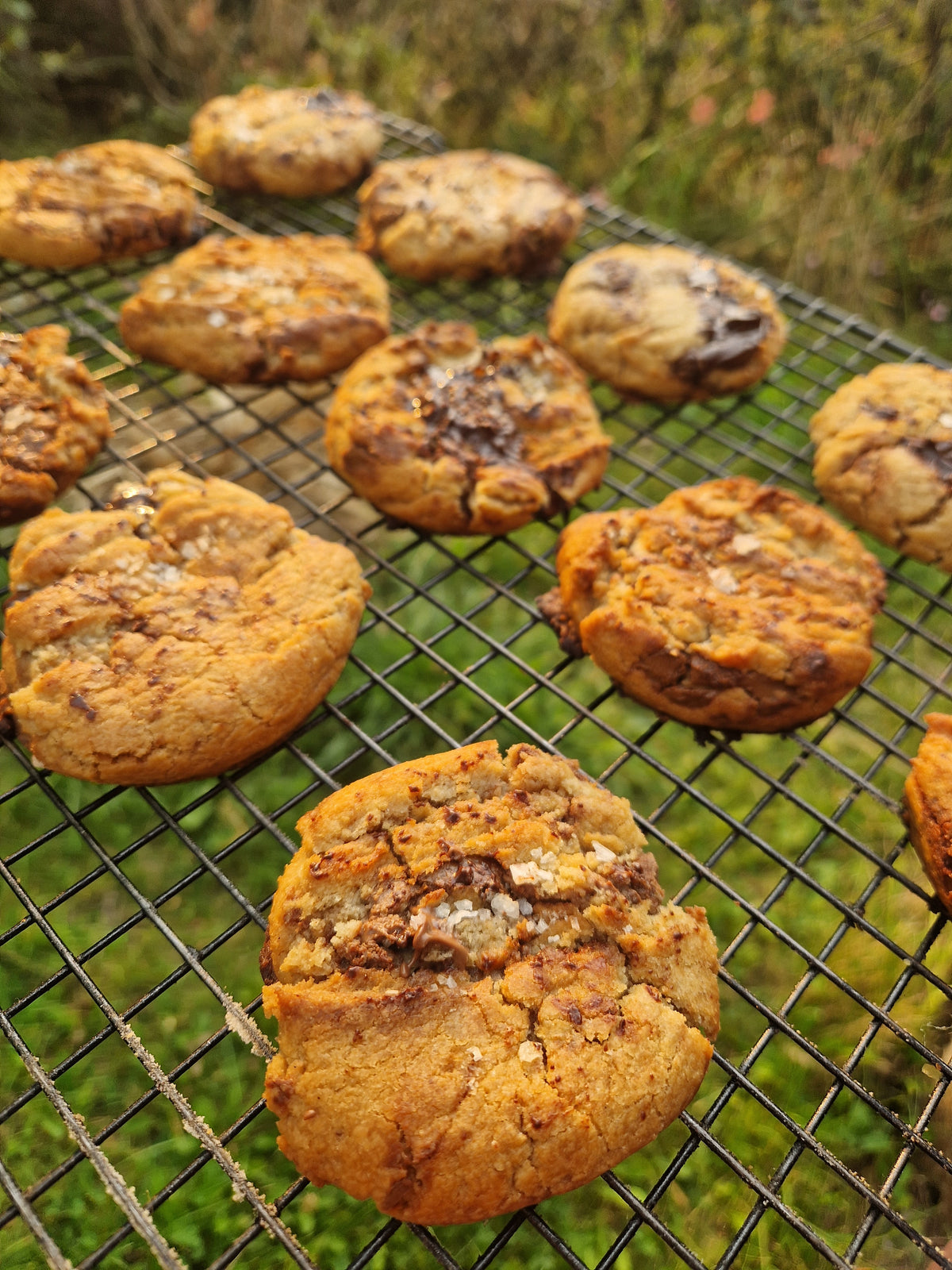 Brown butter, malt, chocolate chip & sea salt cookies