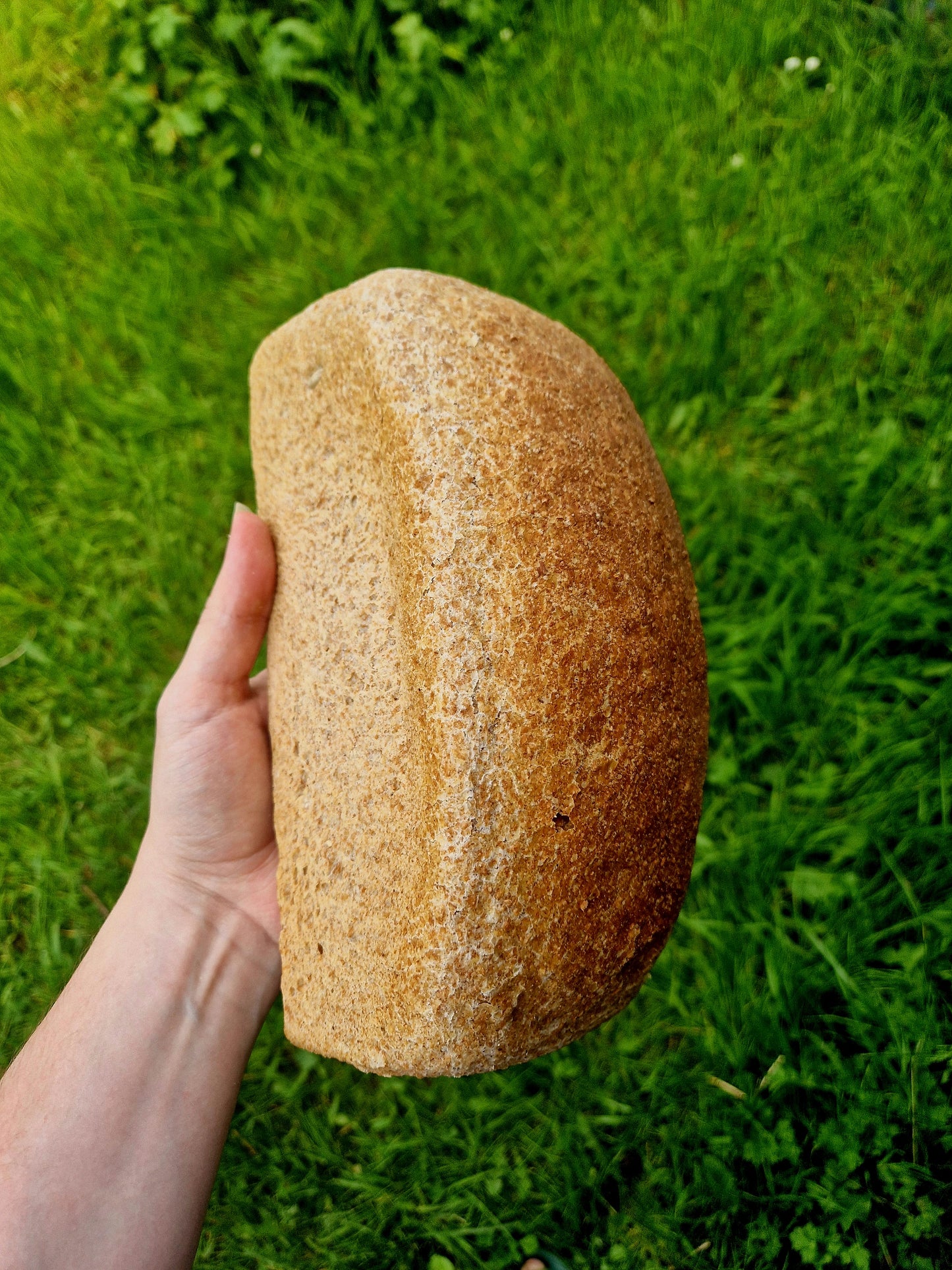 100% wholemeal loaf