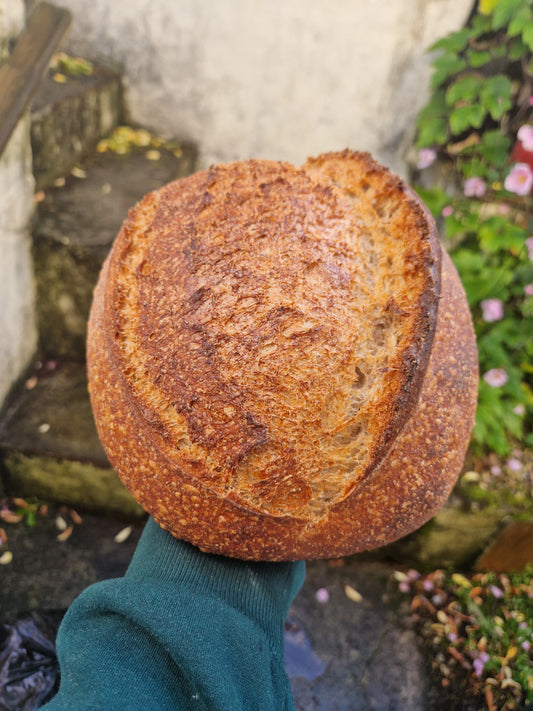 Country Sourdough