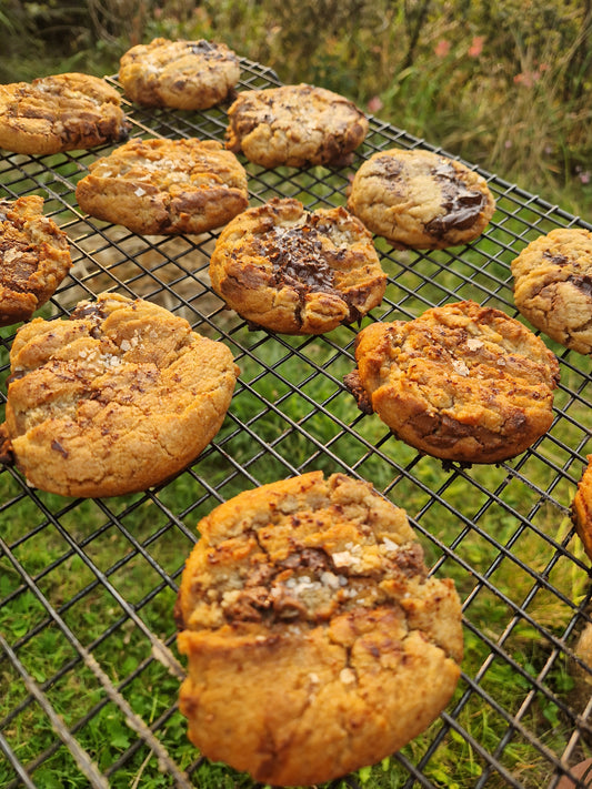Brown butter, malt, chocolate chip & sea salt cookies
