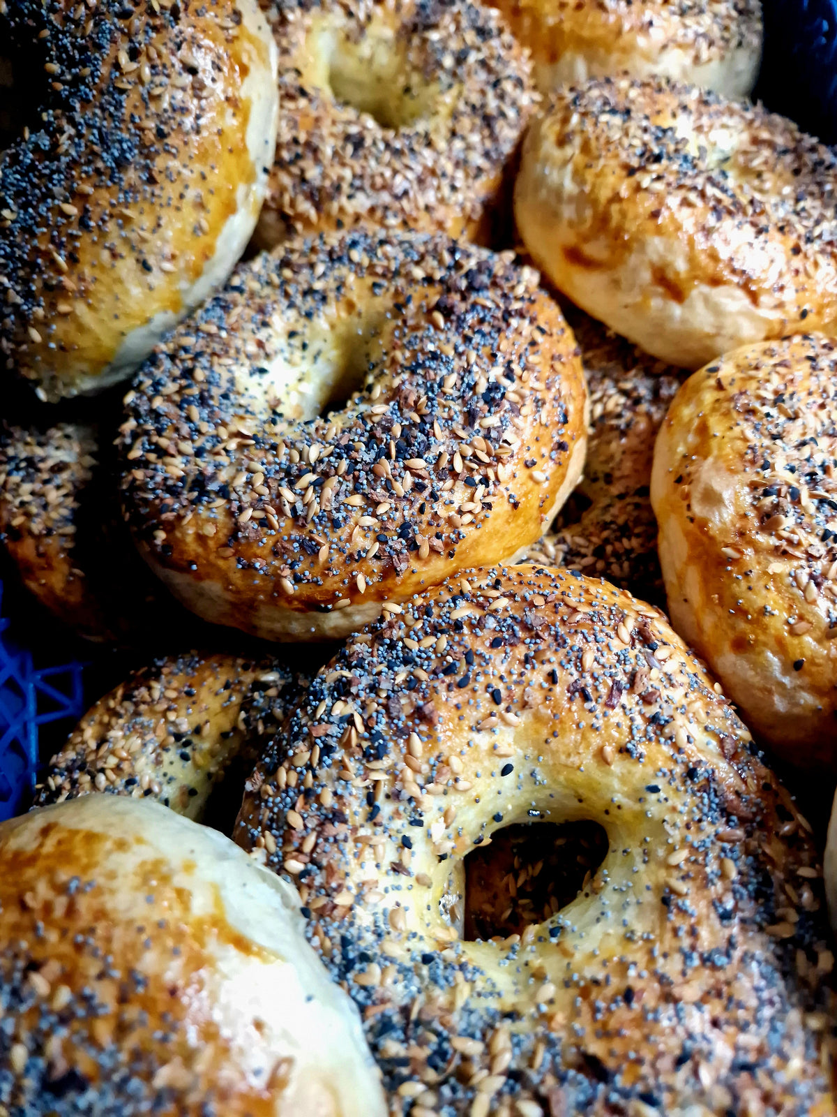 Bagels 2 pack