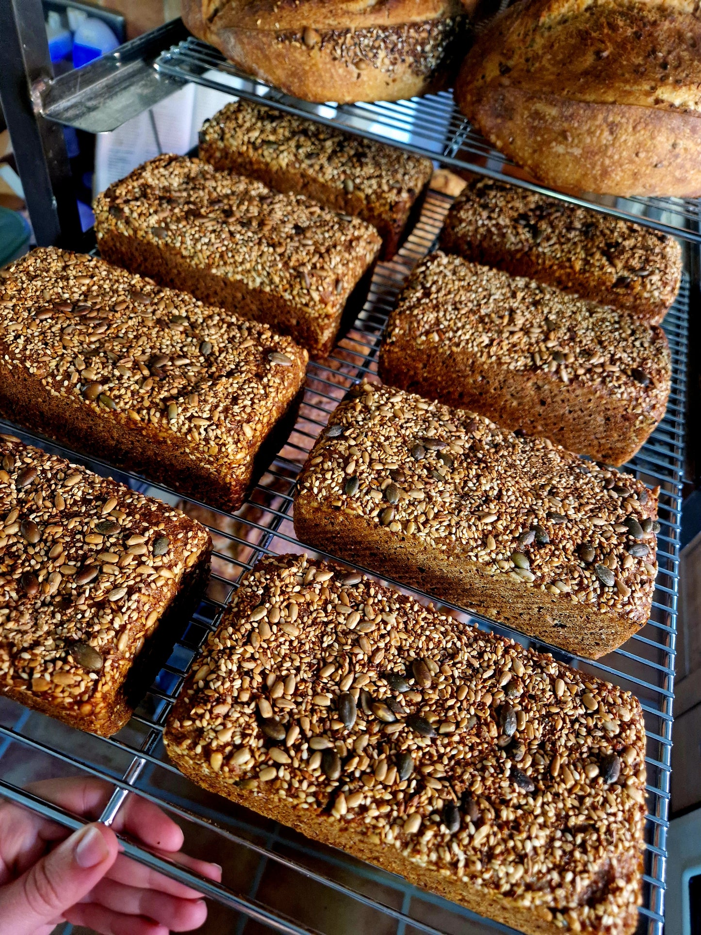 Danish Rye Bread (Rugbröd)